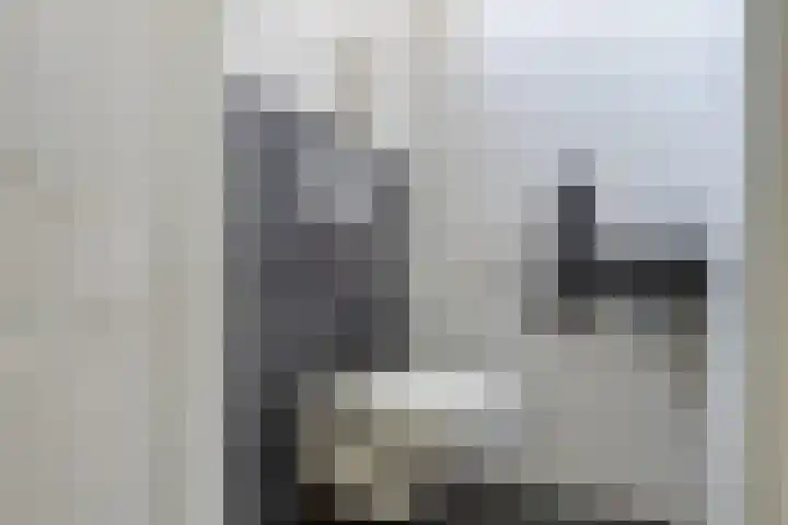 Bevrijding 81 Aalten thumbnail 7