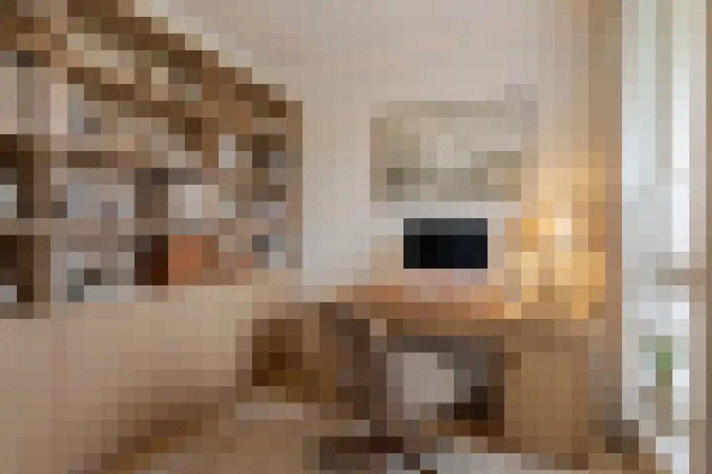 Bevrijdingshof 1 Uden thumbnail 26