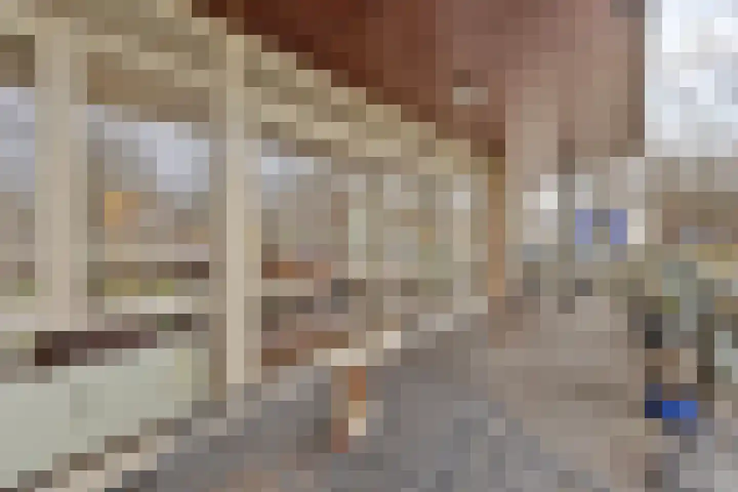 Bevrijdingshof 1 Uden thumbnail 29