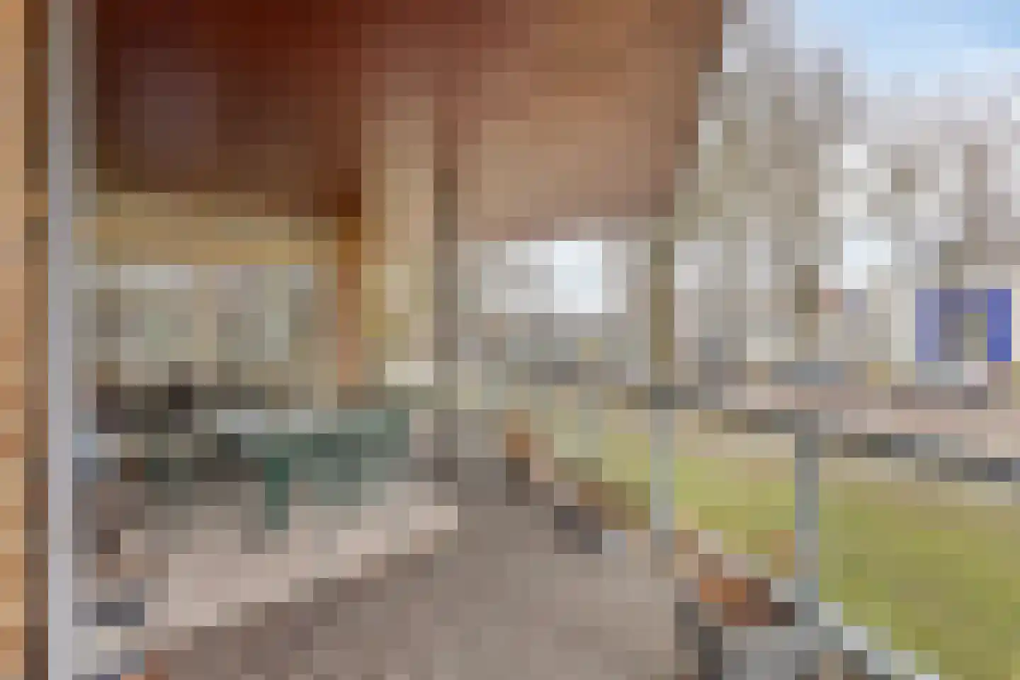 Bevrijdingshof 1 Uden thumbnail 32