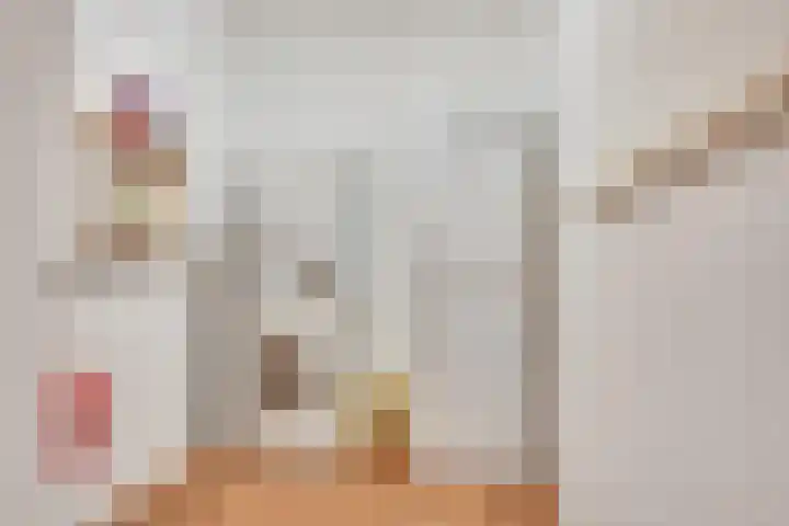 Bevrijdingshof 2 Uden thumbnail 24