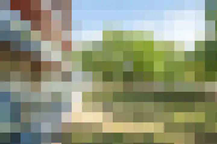 Bevrijdingshof 2 Uden thumbnail 25