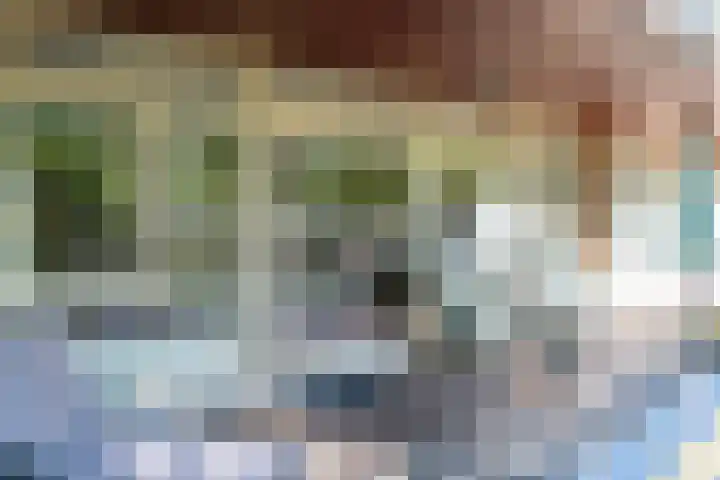 Bevrijdingshof 2 Uden thumbnail 26