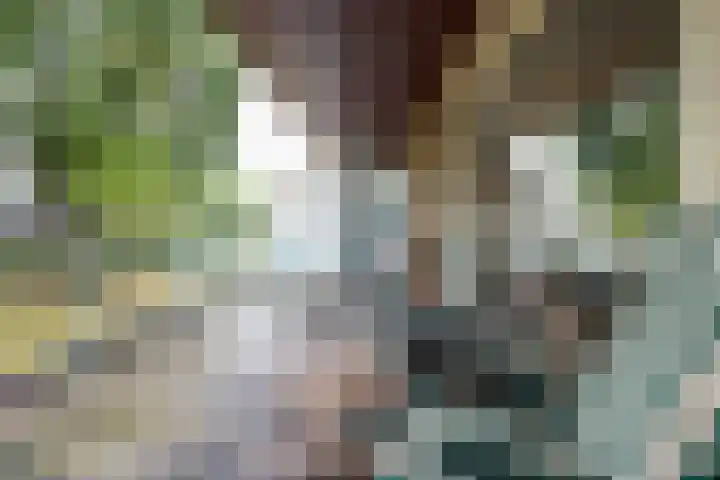 Bevrijdingshof 2 Uden thumbnail 27