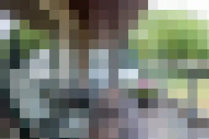 Bevrijdingshof 2 Uden thumbnail 28