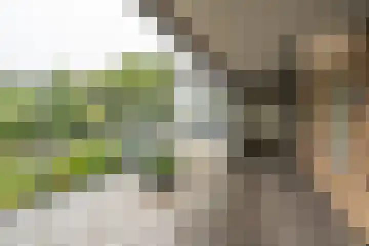Bevrijdingshof 2 Uden thumbnail 29