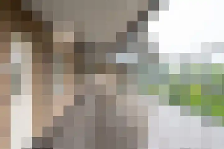Bevrijdingshof 2 Uden thumbnail 30