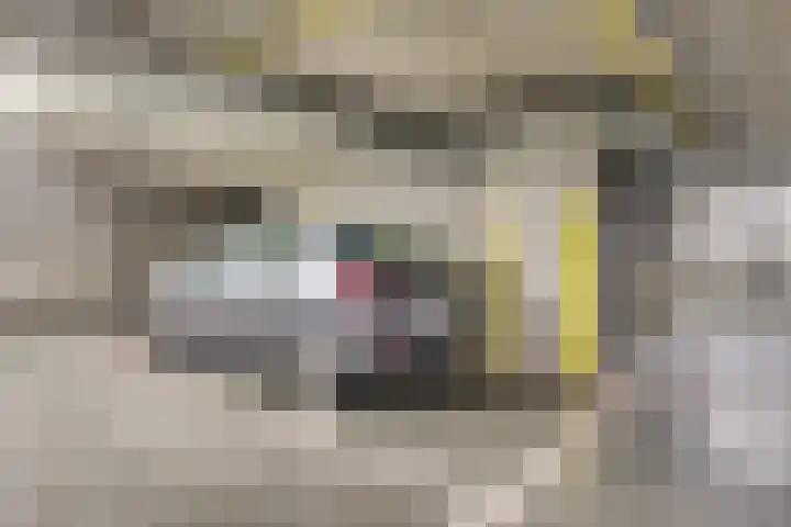Bevrijdingshof 2 Uden thumbnail 32