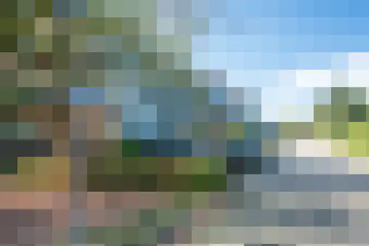 Bevrijdingshof 2 Uden thumbnail 36