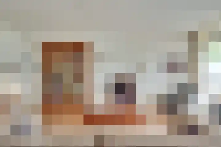 Bevrijdingshof 2 Uden thumbnail 8