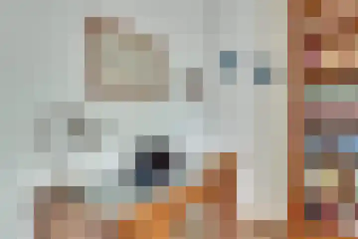 Bevrijdingshof 2 Uden thumbnail 9