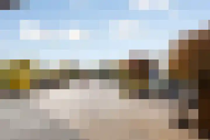 Bevrijdingshof 27 Uden thumbnail 31