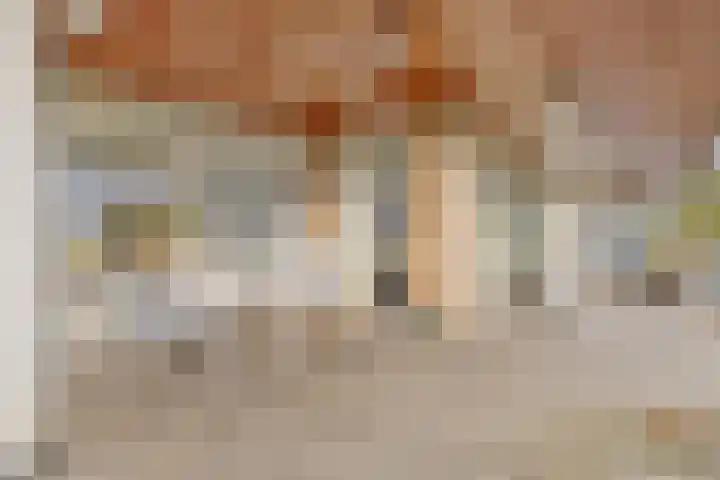 Bevrijdingshof 27 Uden thumbnail 35
