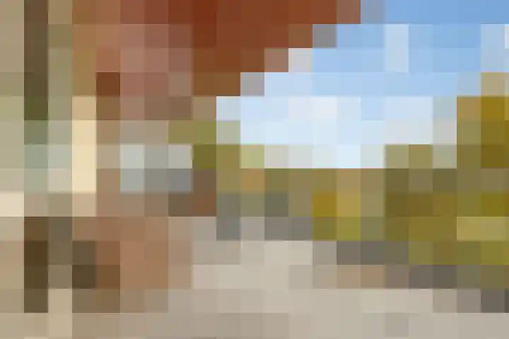 Bevrijdingshof 27 Uden thumbnail 36
