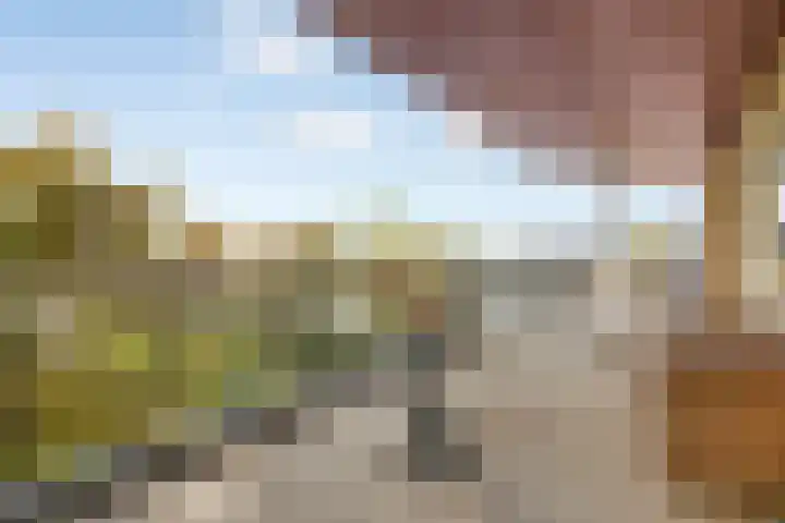 Bevrijdingshof 27 Uden thumbnail 37