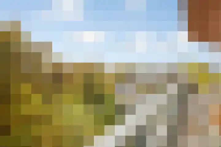 Bevrijdingshof 27 Uden thumbnail 39
