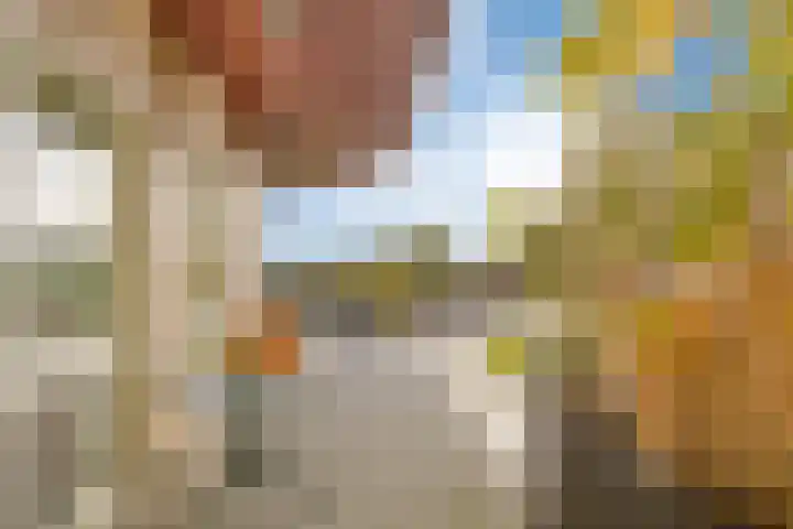 Bevrijdingshof 27 Uden thumbnail 42