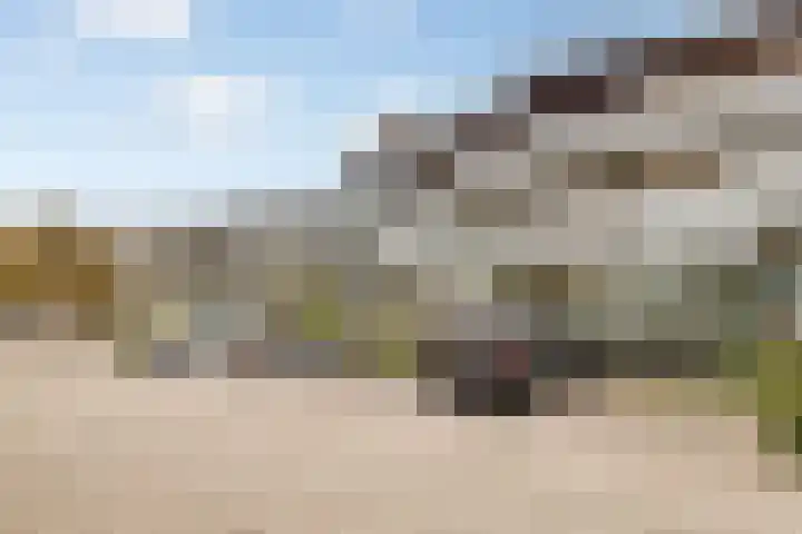 Bevrijdingshof 27 Uden thumbnail 44