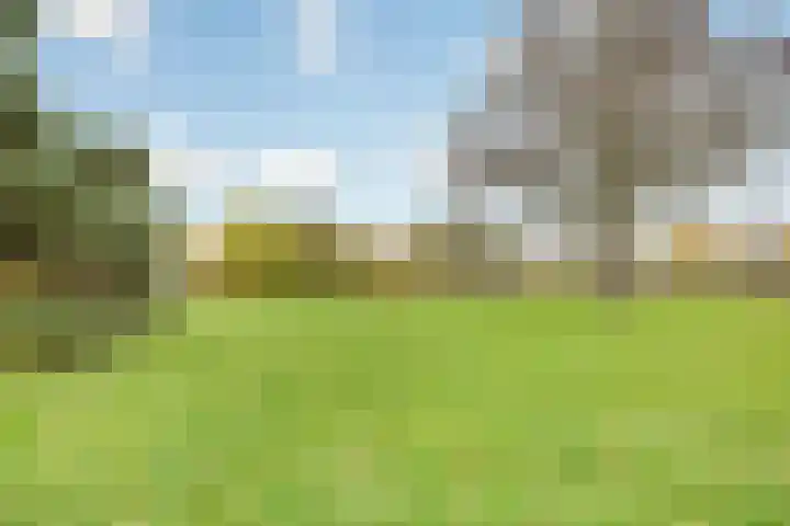 Bevrijdingshof 27 Uden thumbnail 47
