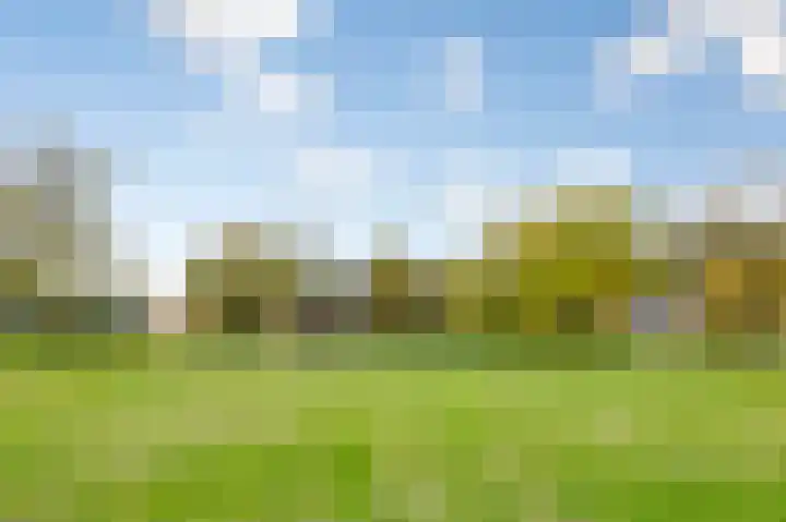 Bevrijdingshof 27 Uden thumbnail 48