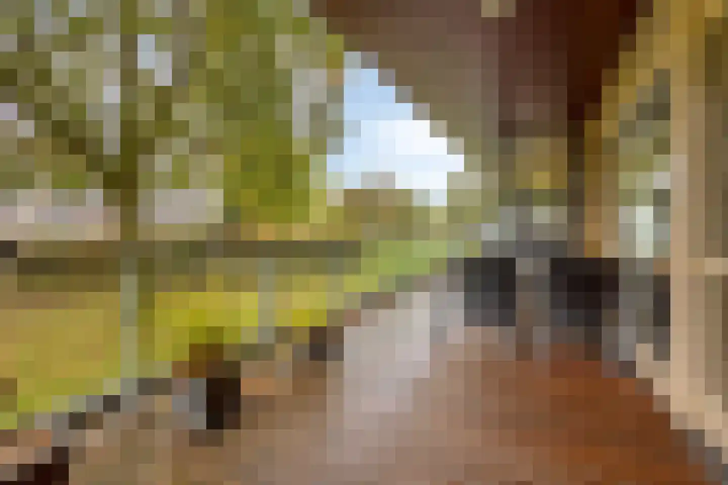 Bevrijdingshof 3 Uden thumbnail 16