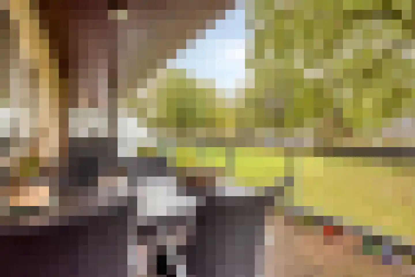Bevrijdingshof 3 Uden thumbnail 17