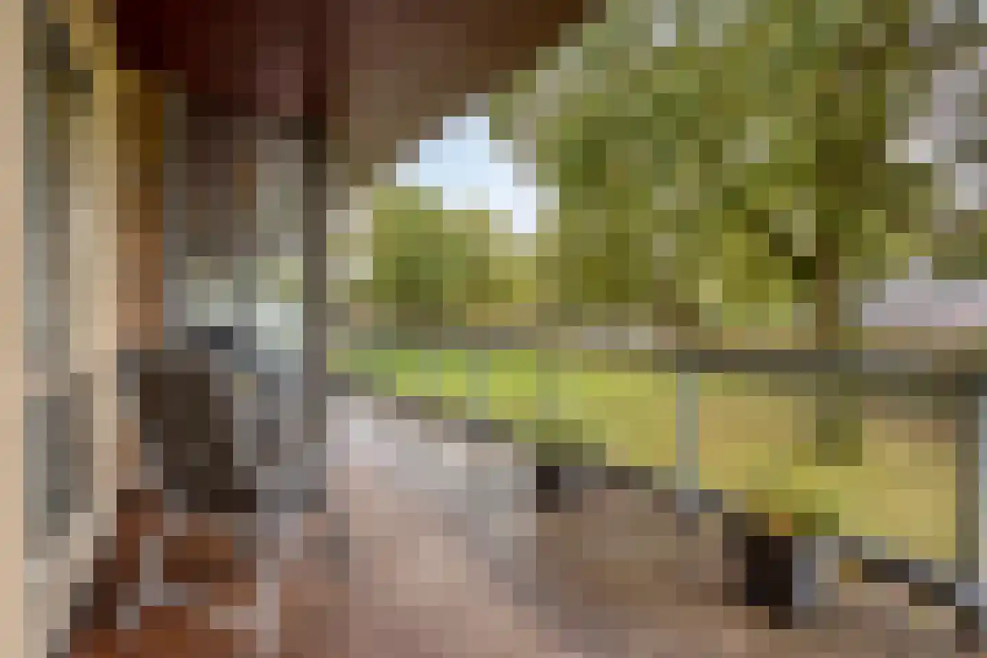 Bevrijdingshof 3 Uden thumbnail 19