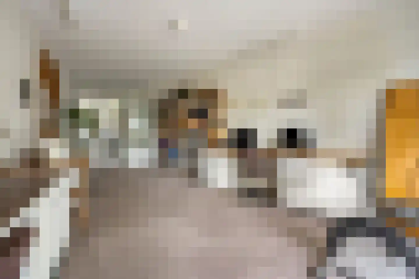 Bevrijdingshof 3 Uden thumbnail 26