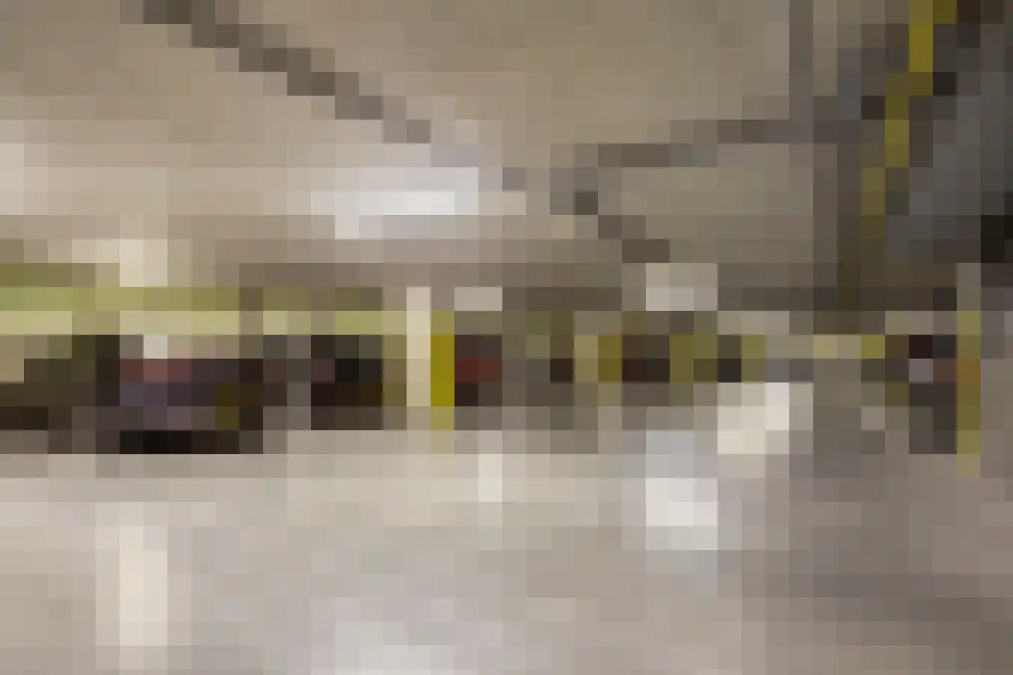 Bevrijdingshof 3 Uden thumbnail 31