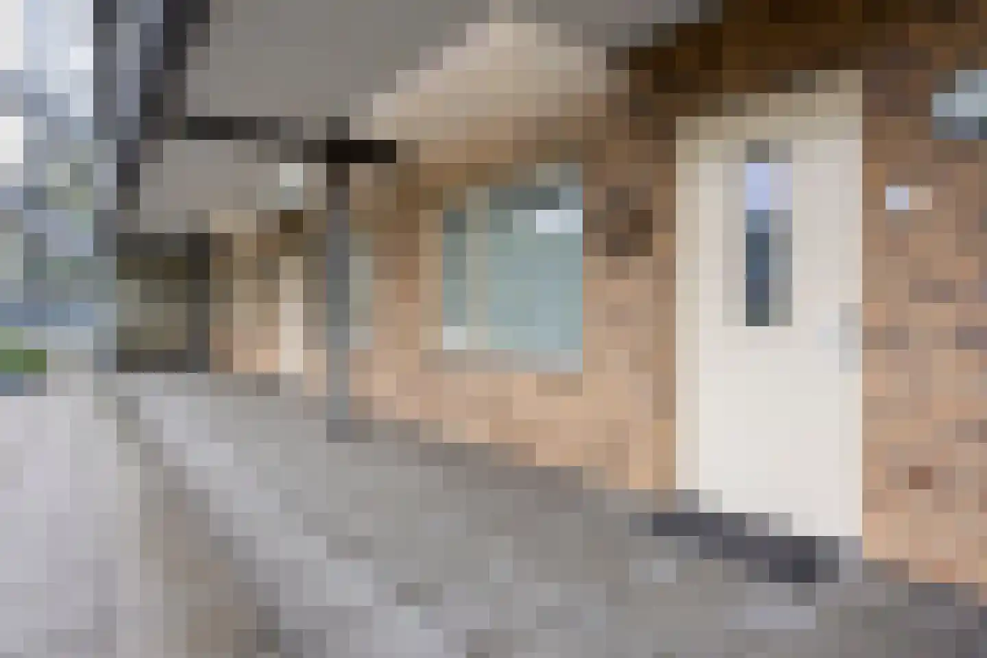 Bevrijdingshof 3 Uden thumbnail 7