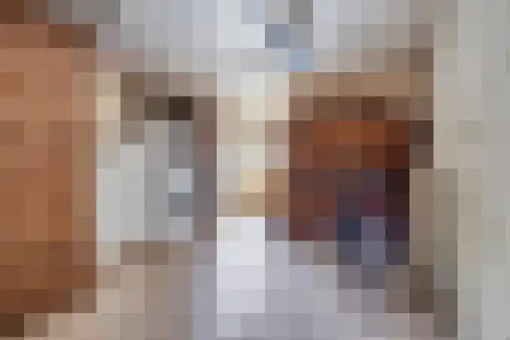 Bevrijdingshof 8 Oss thumbnail 20