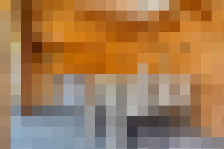Bevrijdingshof 8 Oss thumbnail 24
