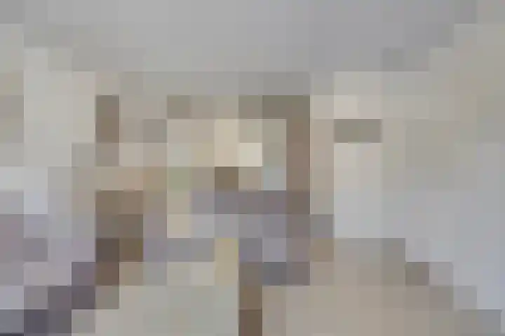 Bevrijdingshof 8 Oss thumbnail 7