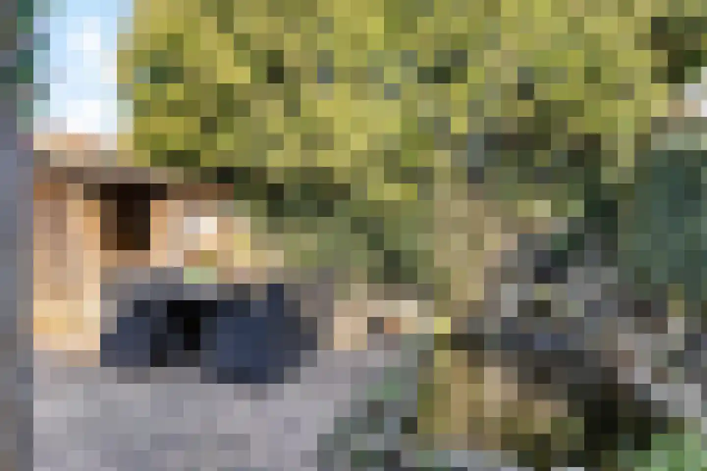 Bevrijdingshof 9 Oss thumbnail 21