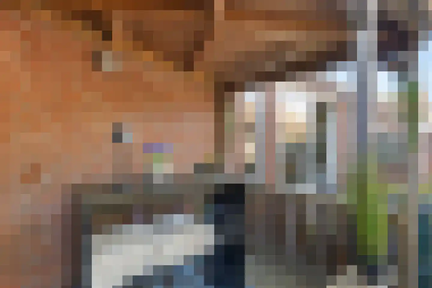 Bevrijdingshof 9 Oss thumbnail 22