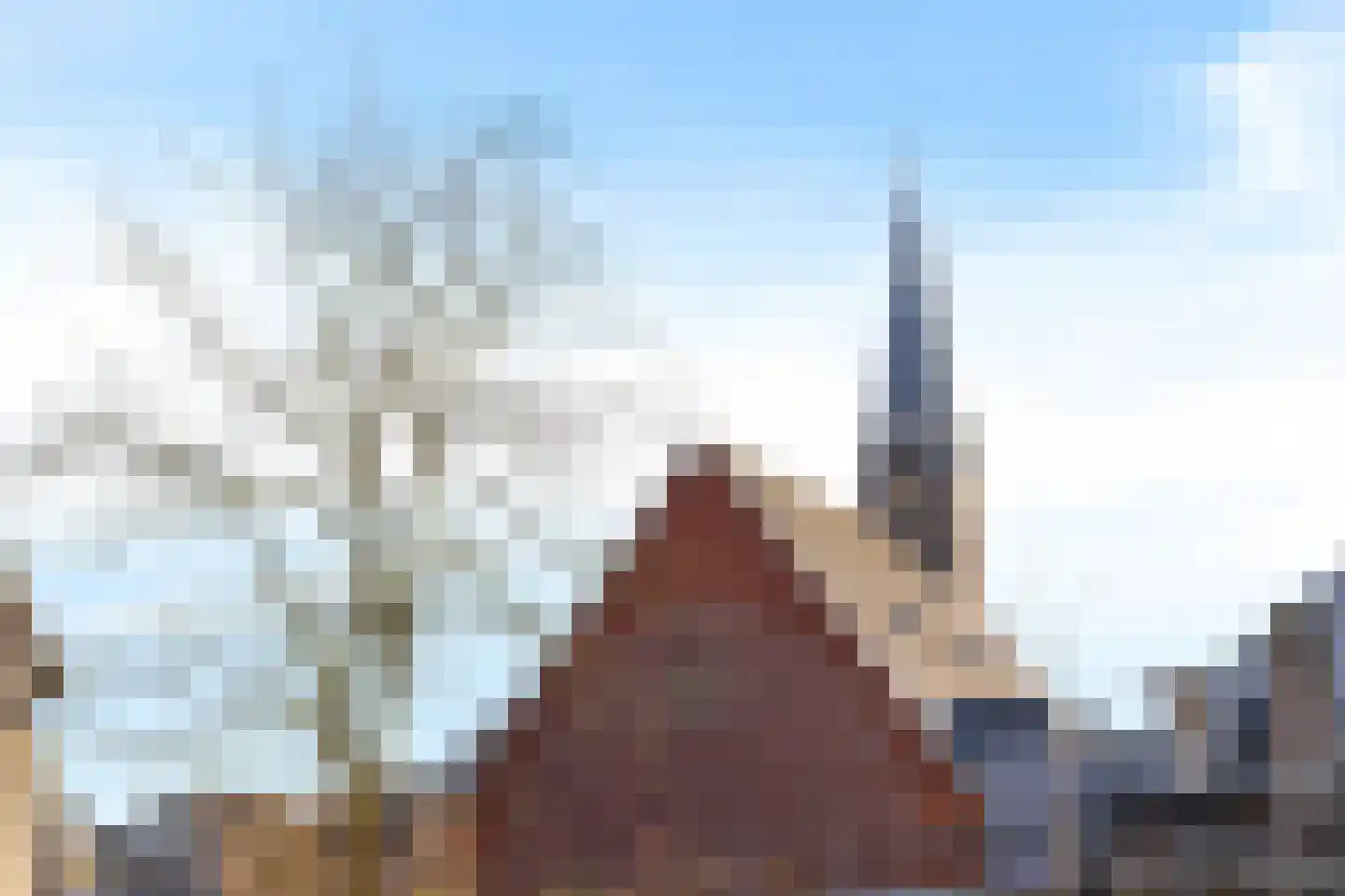 Bevrijdingshof 9 Oss thumbnail 27