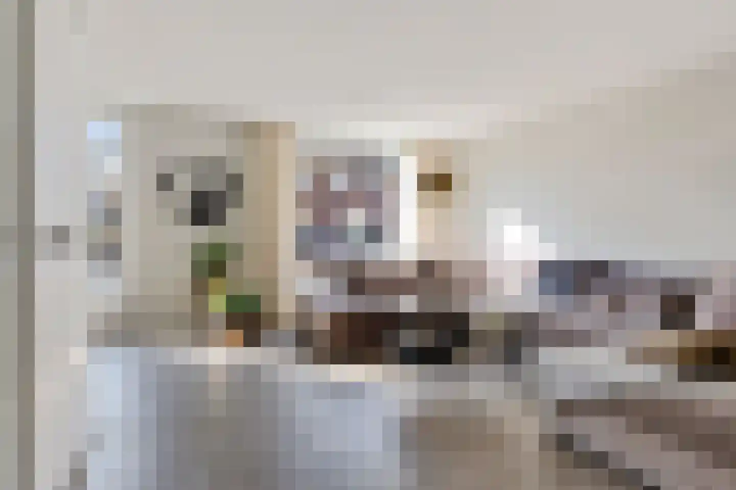 Bevrijdingshof 9 Oss thumbnail 5
