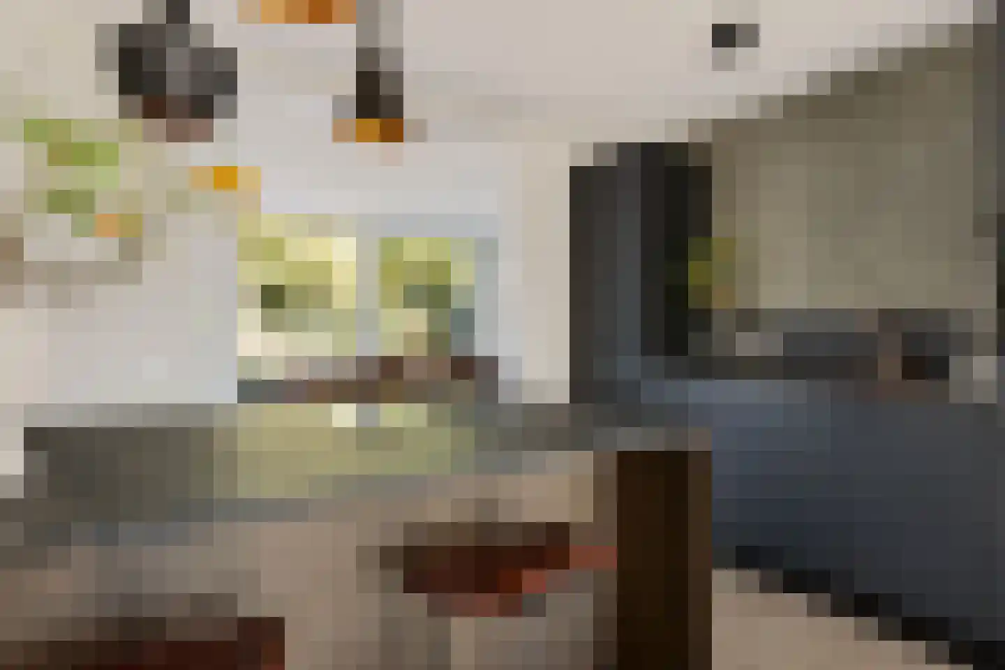 Bevrijdingshof 9 Oss thumbnail 6