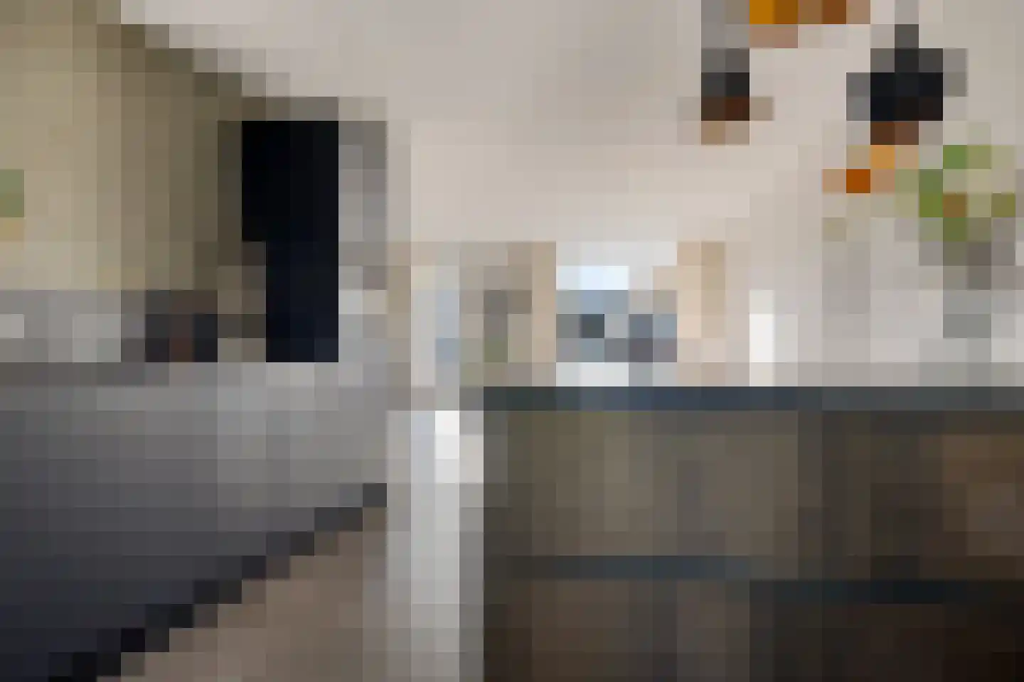 Bevrijdingshof 9 Oss thumbnail 8