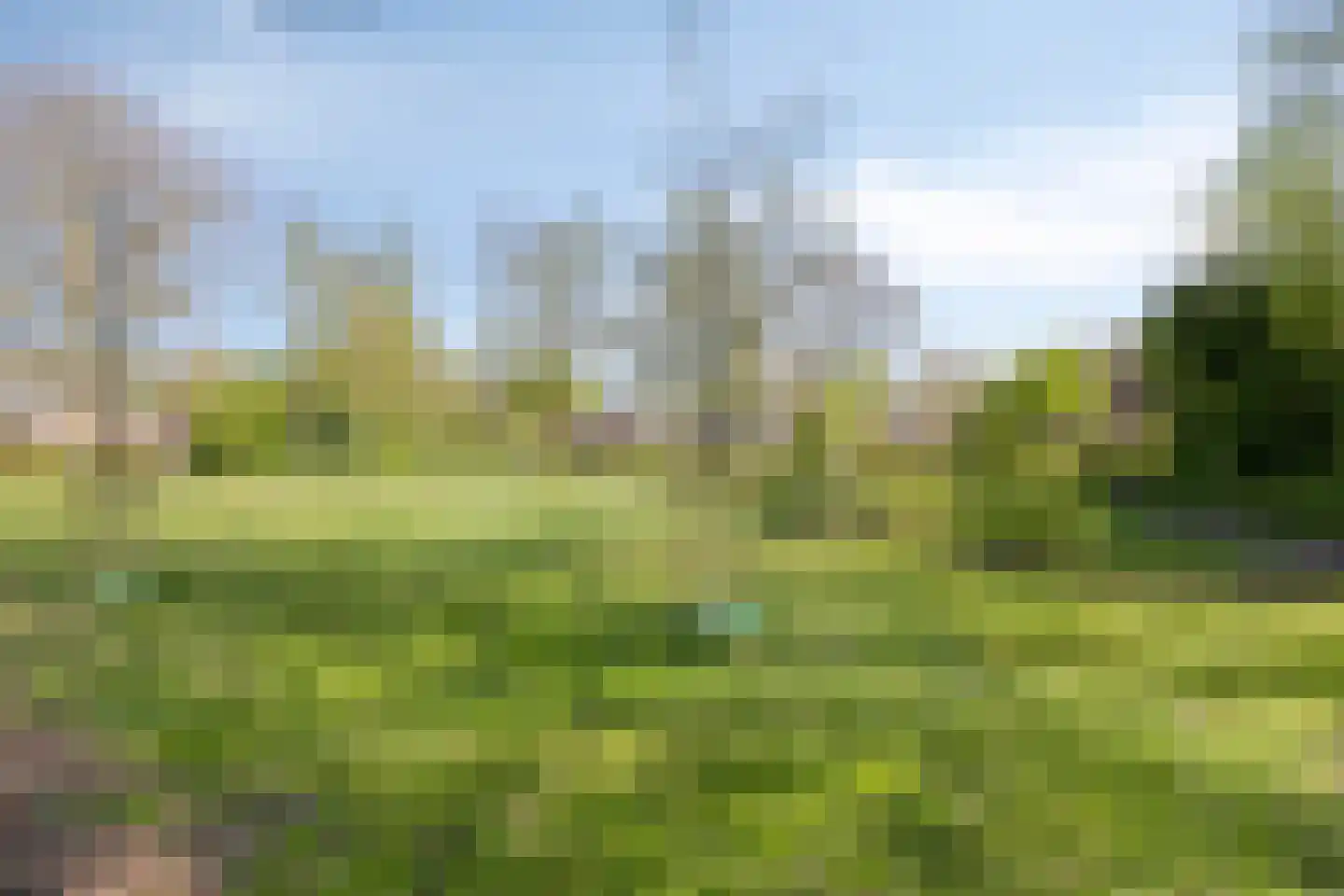 Bevrijdingslaan 13 Meppel thumbnail 39