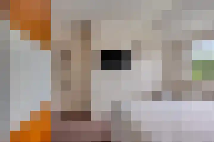 Bevrijdingslaan 14 Almelo thumbnail 10