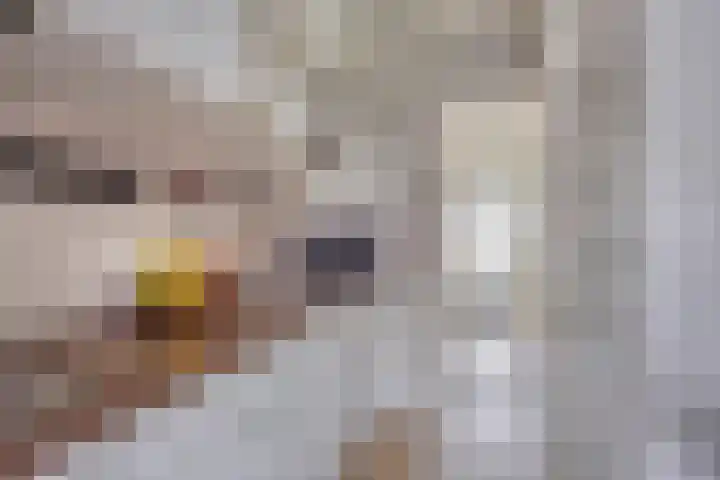 Bevrijdingslaan 14 Almelo thumbnail 6