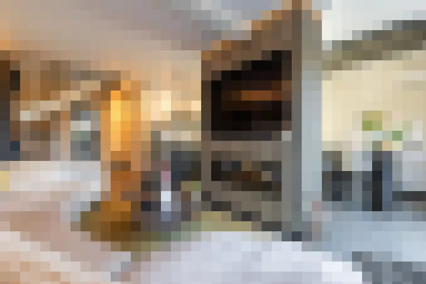 Bevrijdingslaan 16 Vriezenveen thumbnail 10