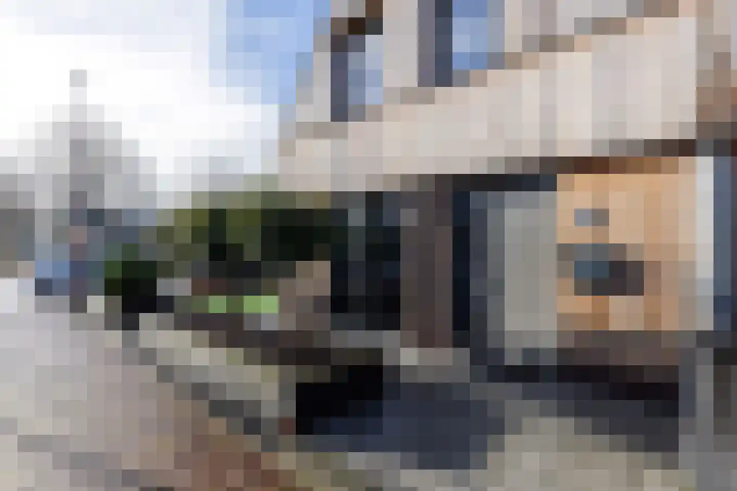 Bevrijdingslaan 16 Vriezenveen thumbnail 4