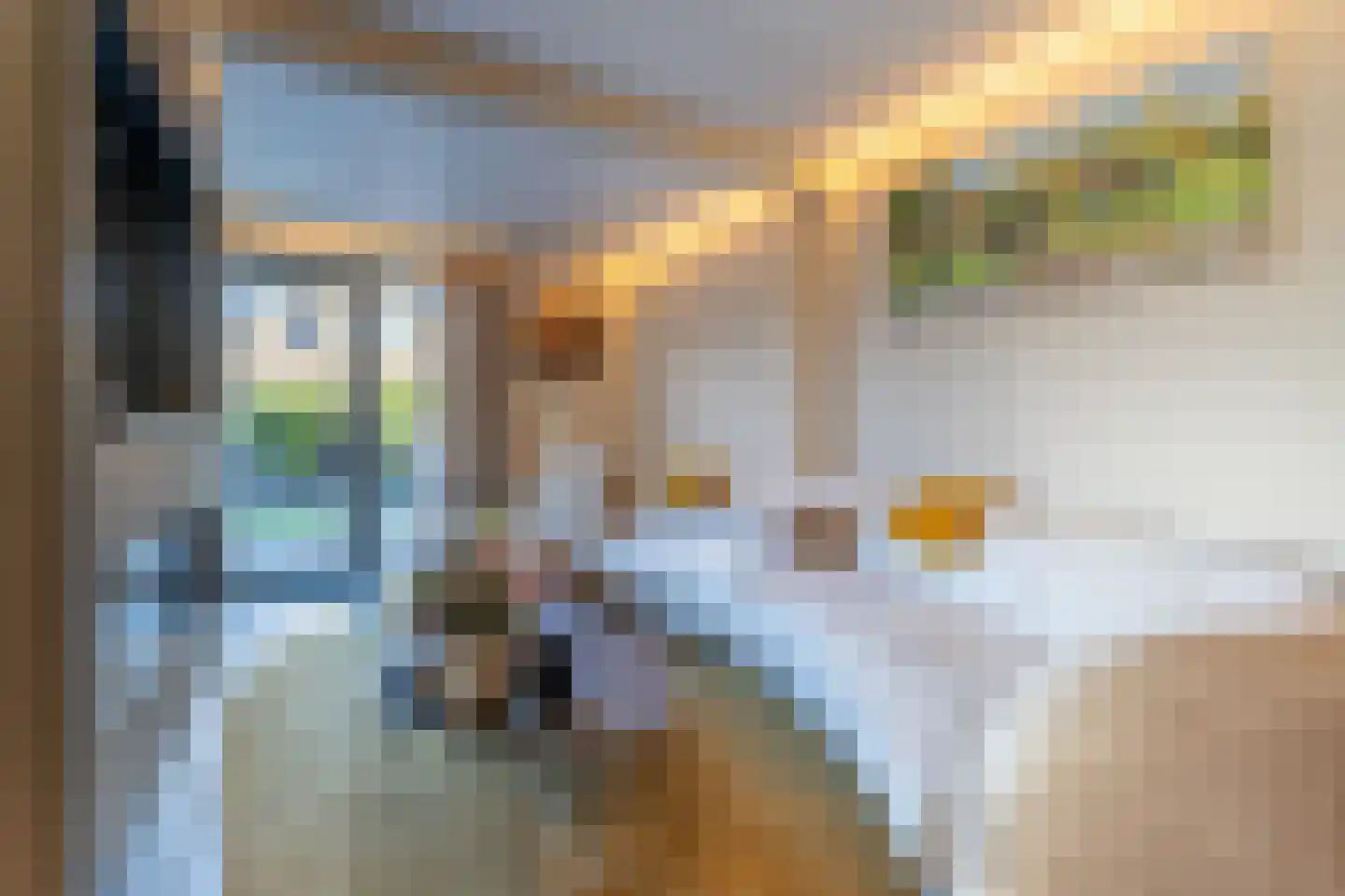 Bevrijdingslaan 16 Vriezenveen thumbnail 7