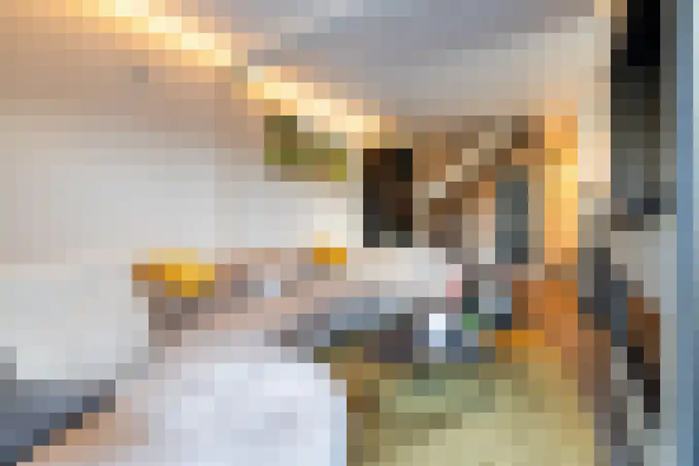 Bevrijdingslaan 16 Vriezenveen thumbnail 9