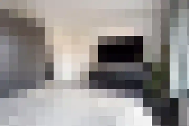 Bevrijdingslaan 24 Warnsveld thumbnail 14
