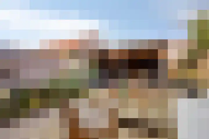 Bevrijdingslaan 24 Warnsveld thumbnail 21