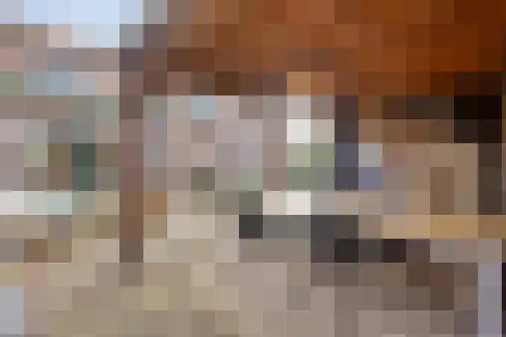 Bevrijdingslaan 24 Warnsveld thumbnail 23