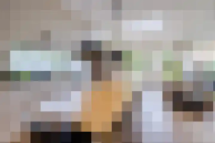 Bevrijdingslaan 25 Meppel thumbnail 10